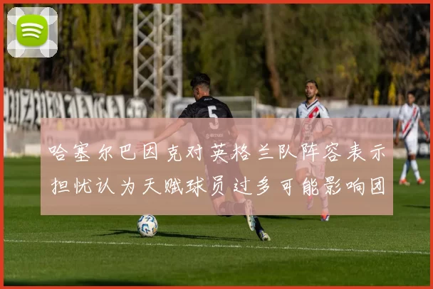 哈塞尔巴因克对英格兰队阵容表示担忧认为天赋球员过多可能影响团队合作