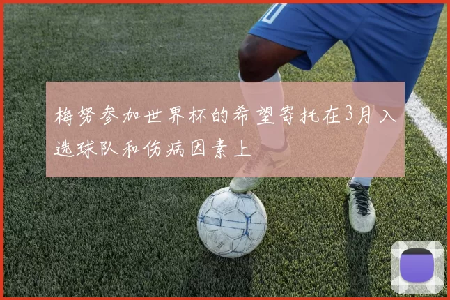 梅努参加世界杯的希望寄托在3月入选球队和伤病因素上
