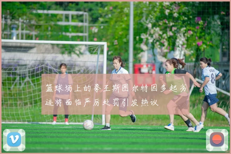 篮球场上的拳王斯图尔特因多起劣迹将面临严厉处罚引发热议