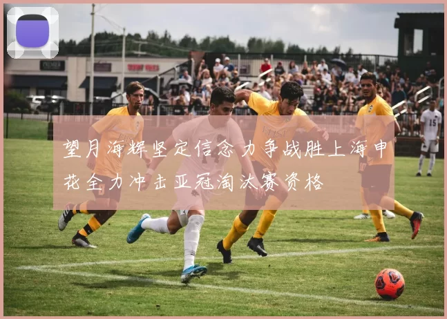 望月海辉坚定信念力争战胜上海申花全力冲击亚冠淘汰赛资格